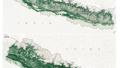 زمین خواری به نام مشارکت مردمی در مازندران | چرا نپال توانست و ایران نه؟
