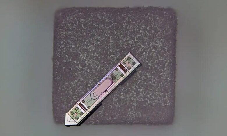 ایمپلنت مغزی