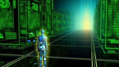 جهان شبیه سازی شده