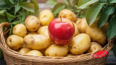 سیب و سیب زمینی