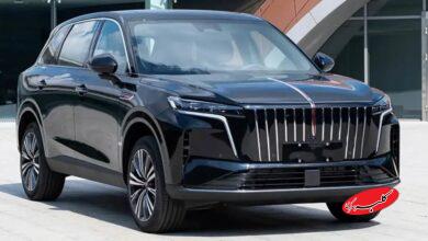 هیبریدی چینی