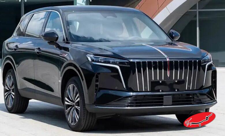 هیبریدی چینی