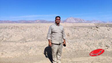 حسنی، شکارچی سابق انارکی