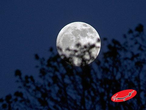 اکسیژن درماه