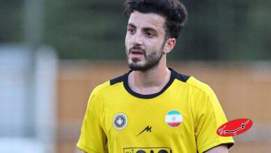 محمدمهدی لطفی