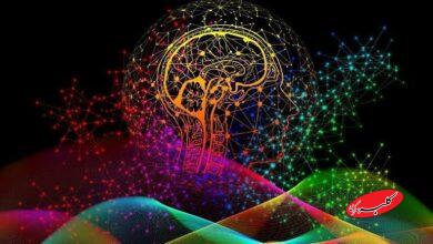 اسرار پنهان نوروساینس