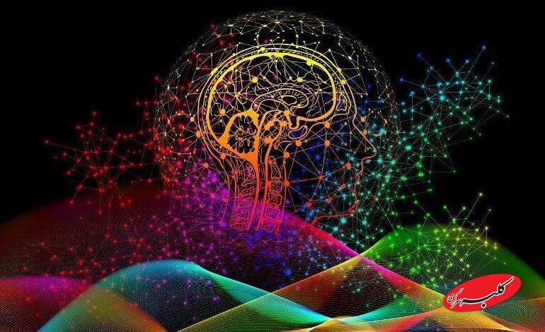 اسرار پنهان نوروساینس