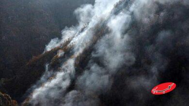 آتش سوزی در مازندران - الیت - چالوس - حری در جنگل