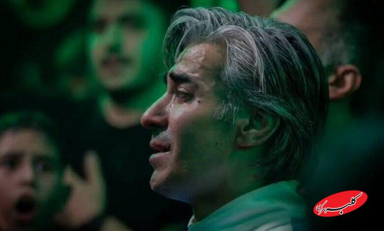 وحید شمسایی