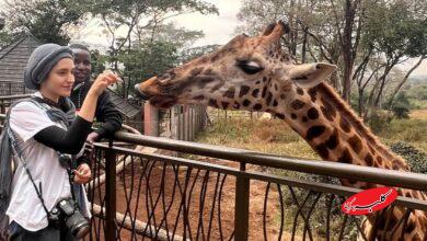 تور کنیا با آرند تور