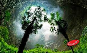 جنگل گمشده در اعماق  زمین؛