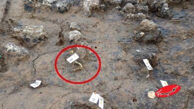 کشف باستانی