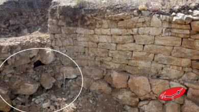 جمجمه جنگجو