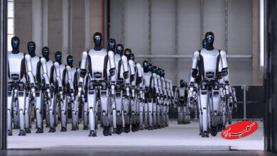 روبات مرزبان