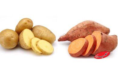 سیب زمینی شیرین و زرد