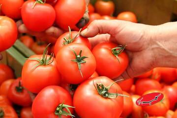 گوجه فرنگی هم لاکچری شد/ قیمت عجیب گوجه فرنگی را در بازار ببینید