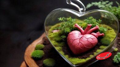 ۱۲۰۰ اهدای عضو و ۱۰۰۰ پیوند موفق در سال ۱۴۰۳ ثبت شد