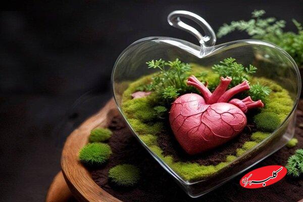 ۱۲۰۰ اهدای عضو و ۱۰۰۰ پیوند موفق در سال ۱۴۰۳ ثبت شد