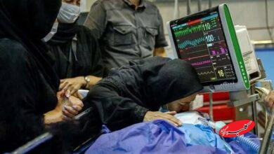 قلبی که به پرواز نرسید؛ روایت اهدای زندگی از دل یک حادثه