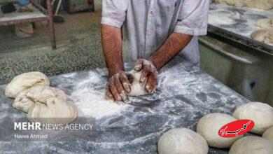 متخصص طب ایرانی: نان سفید بلای چاقی و ناباروری است