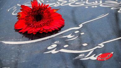 تفاوت کما و مرگ مغزی؛ مرزی میان امید و اهدای زندگی