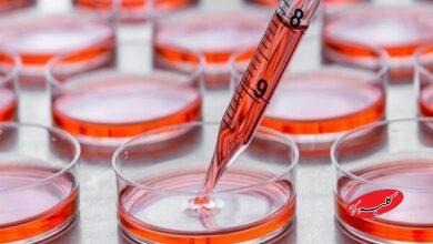 جذب داوطلب اهدای سلول بنیادی برای اولین بار در نماز جمعه