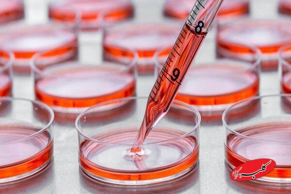 جذب داوطلب اهدای سلول بنیادی برای اولین بار در نماز جمعه