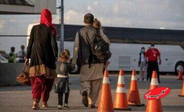 ناسازگاریِ برخی مجریان و ماموران داخلی با قوانین مربوط به اتباع خارجی