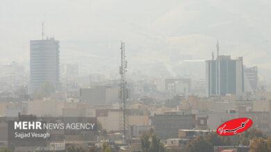 فیلم «ذرات مگنت در هوای تهران» غیرواقعی است