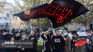 ارادت اهل سنت به حضرت زهرا (س)؛ فاطمیه پایگاه همگرایی امت اسلام