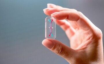 نبض فناروی جهان در دستان این ۵ غول است