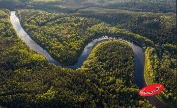 بزرگترین جنگل جهان کجاست؟