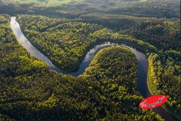 بزرگترین جنگل جهان کجاست؟