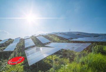 برق میلیونها نفر رایگان میشود / هدیه خورشید به مردم استرالیا