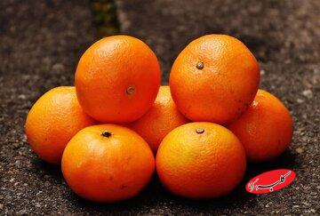 واکنش سازمان غذا و دارو به ویدیوی جنجالی رنگ‌کردن پرتقال‌ها