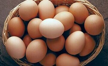 اعلام قیمت هر شانه تخم‌مرغ / کاشانی: بالاتر از این قیمت گران‌فروشی است