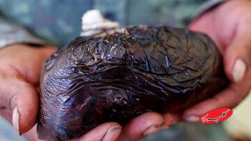 یارانه تریاک چقدر است؟/ مصرفکنندگان تریاک هم یارانه سنگین میگیرند