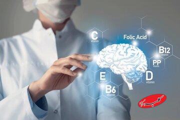 ویتامینها و مکملهای تقویت مغز و حافظه/ این ویتامین جلوی کوچکشدن مغز را میگیرد/ با افزایش سن، مصرف این چربی را بیشتر کنید