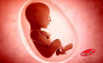 ۸۰ درصد شاکیان سقط جنین مردها هستند/ مواردی که قاضی اجازه سقط جنین قانونی نمی‌دهد