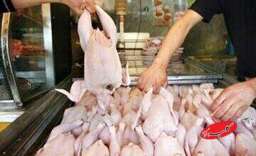 ماجرای مرغ تریاکی چیست؟