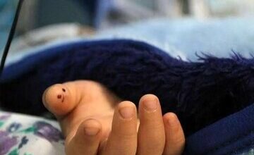 مرگ یک دانش‌آموز در مدرسه/ عکس + جزئیات