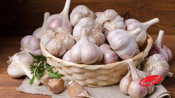 خوردن سیر خام ناشتا باعث لاغری میشود؟