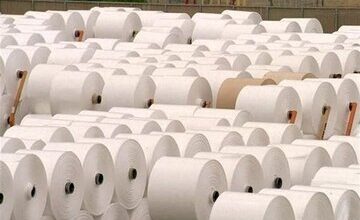 پرونده ۵ هزار تن کاغذ در ایستگاه آخر/ توقیف ۱۶۳ کانتینر به نفع وزارت ارشاد