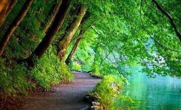 راز جاودانگی انسان در بهشت چیست؟