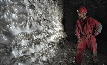 تار عنکبوتی که میتواند نهنگ را به دام اندازد / ۱۱۱ هزار عنکبوت در یک خانه!