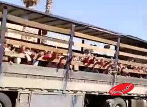 مدیر یک مدرسه در جهرم برکنار شد/ عکس