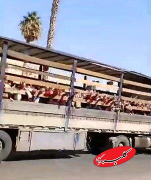 مدیر یک مدرسه در جهرم برکنار شد/ عکس