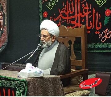 هادی قابل: برخی دنبال دهه محسنیه و دهه رقیه‌اند/ امیرالمؤمنین حتی یکبار برای پیامبر عزاداری نکرد/ این مناسک جدید به سخره گرفتن مذهب است