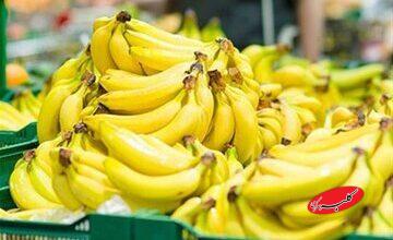 قیمت موز باید بسیار پایینتر باشد/ رانت واردات موز در قبال صادرات سیب!