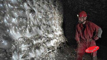 کشف بزرگ‌ترین دیوار تارعنکبوتی جهان با بیش از ۱۱۰ هزار عنکبوت/ عکس